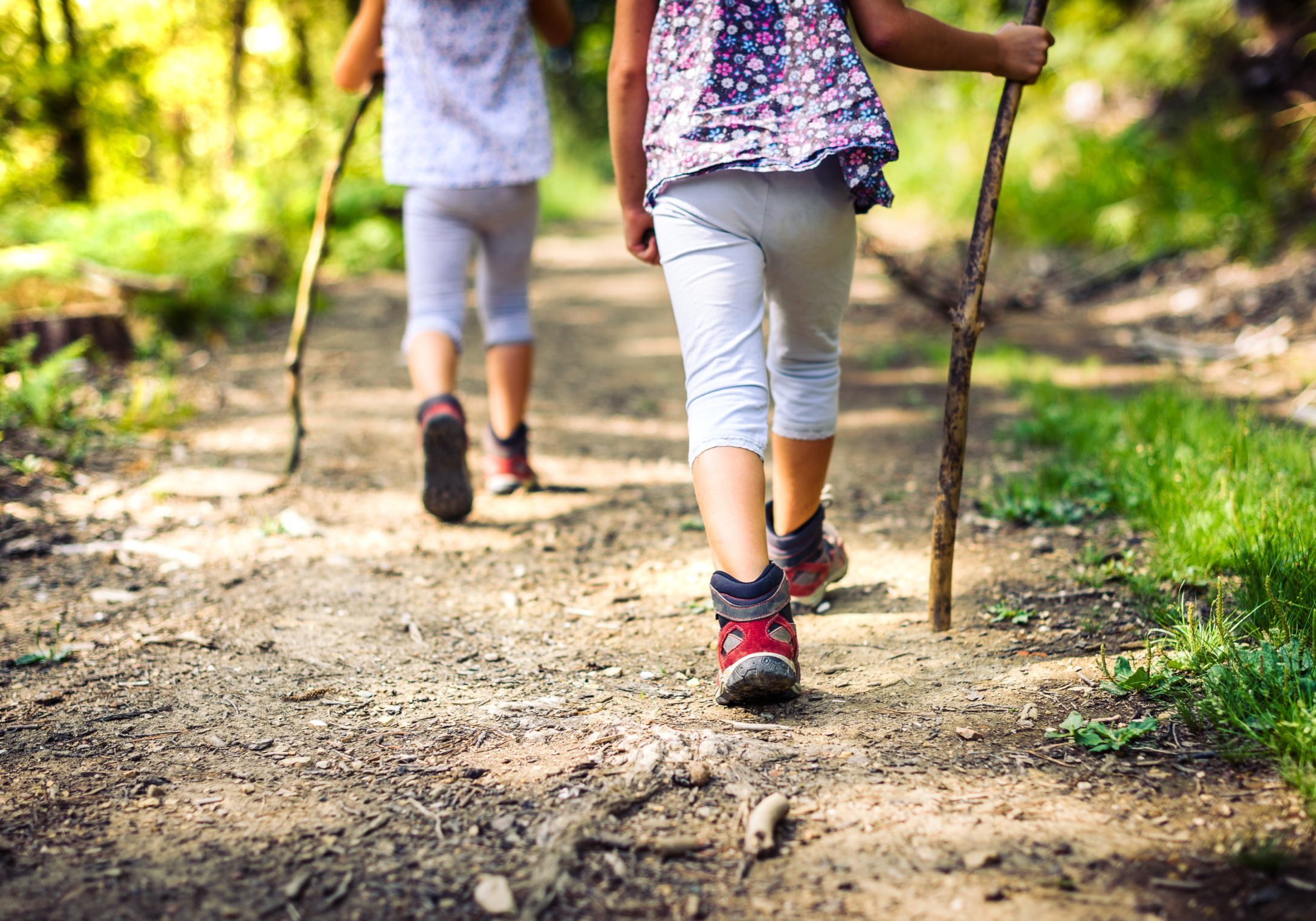 Children hiking in mountains or forest with sport hiking shoes. Girls are walking trough forest path wearing mountain boots and walking sticks. Frog perspective with focus on the shoes.