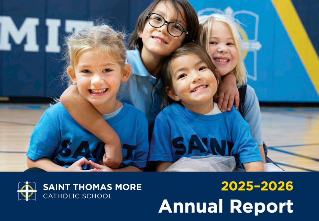 2025-26 stm annual report image